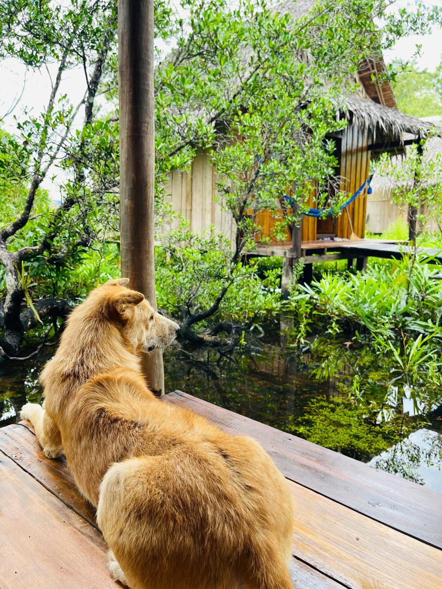 Lily'S Riverhouse Prek Svay Village Kültér fotó